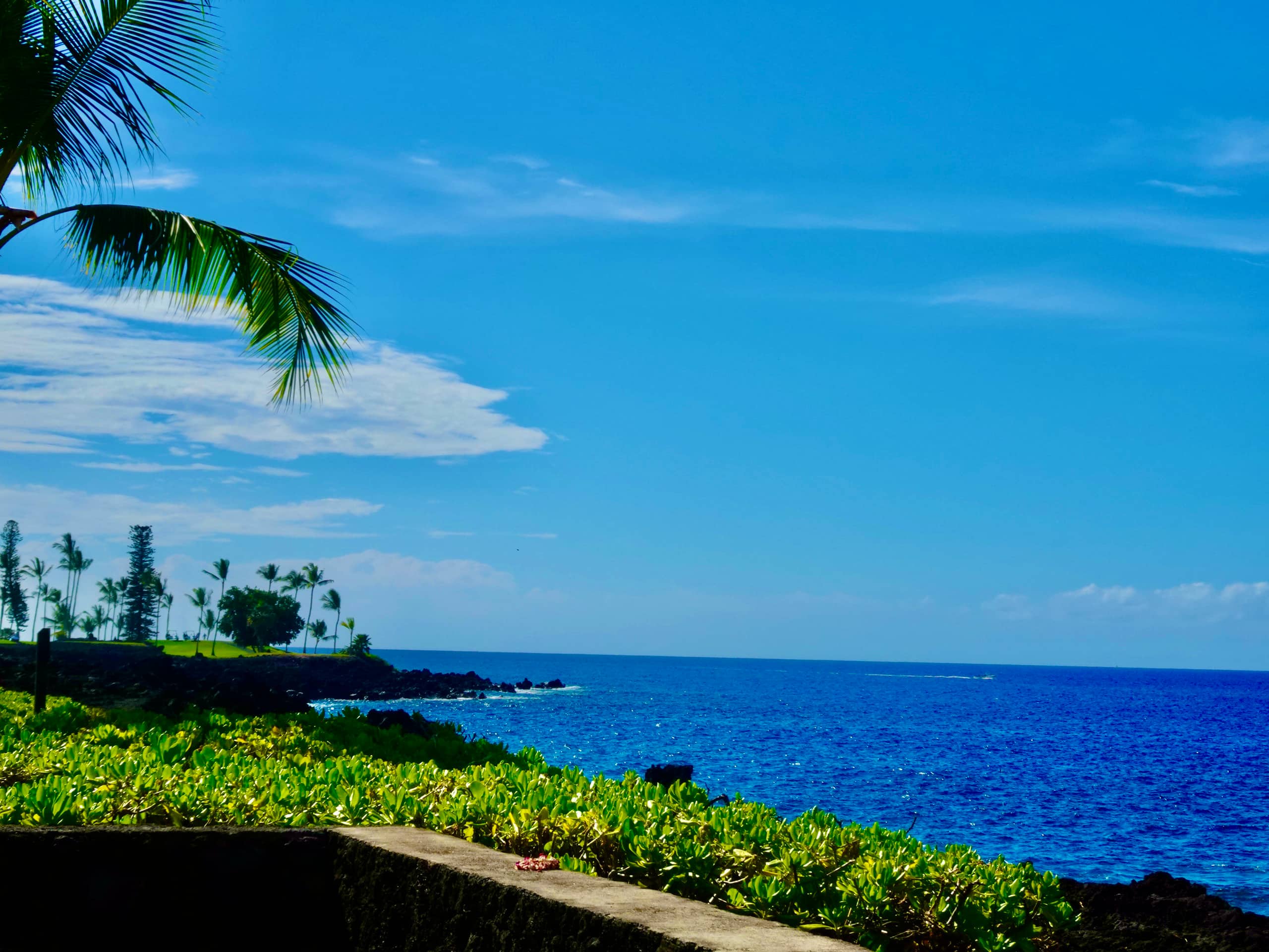 Condo in Kailua-Kona · ★4.95 · 2 bedrooms · 2 beds · 2 baths - Image 34