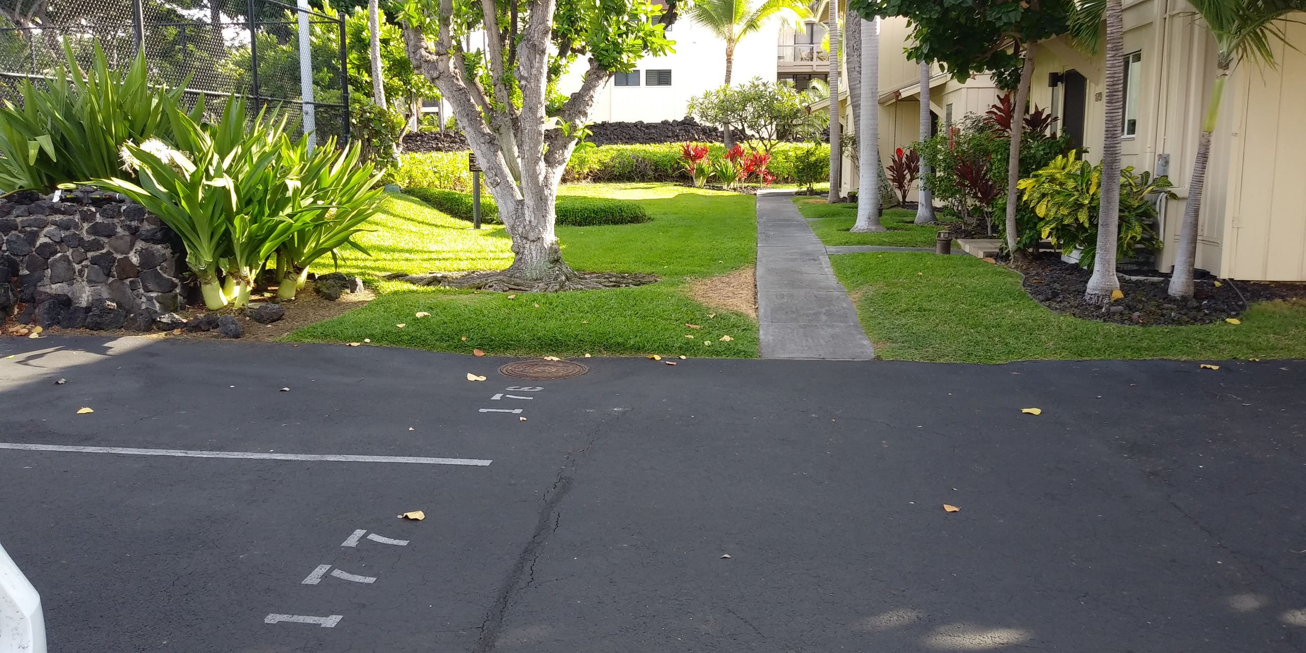 Condo in Kailua-Kona · ★4.95 · 2 bedrooms · 2 beds · 2 baths - Image 31