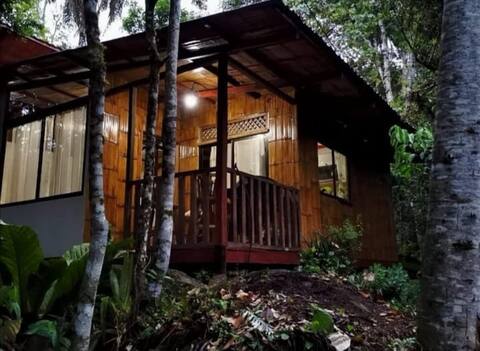 Casa Mandarina: bamboo tropical and rural house