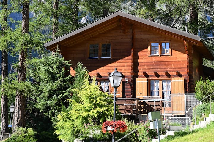 Chalet "Mélèzes", perfectly located (ski & baths)