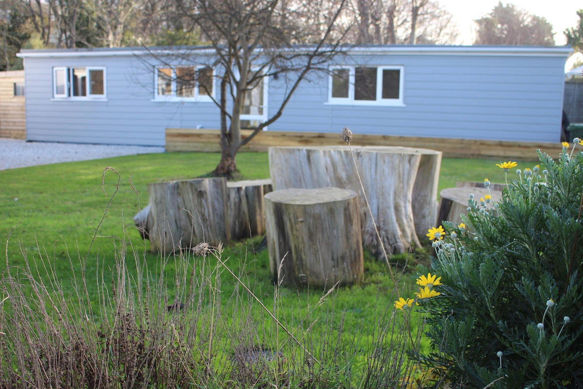A modern building is visible in the background, complemented by a manicured lawn. Several large tree stumps are arranged in a natural setting, with bright yellow flowers and greenery in the foreground, enhancing the outdoor space.