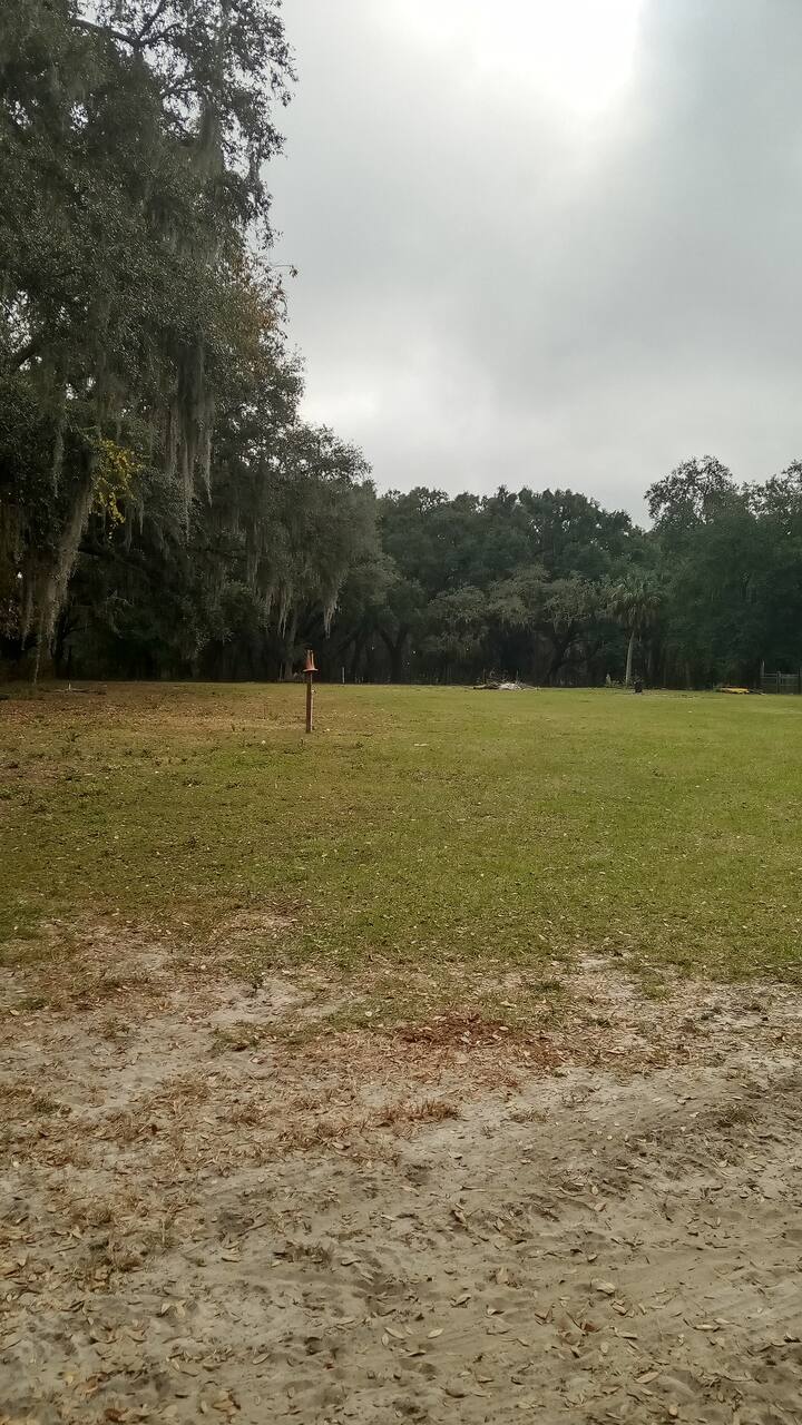 Lake Thonotosassa Vacation Rentals & Homes Thonotosassa, FL Airbnb