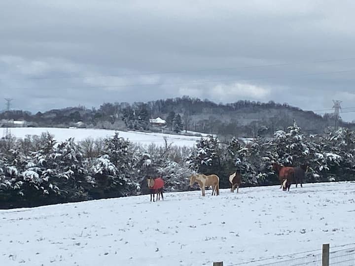 Bell Buckle Vacation Rentals & Homes Tennessee, United States Airbnb