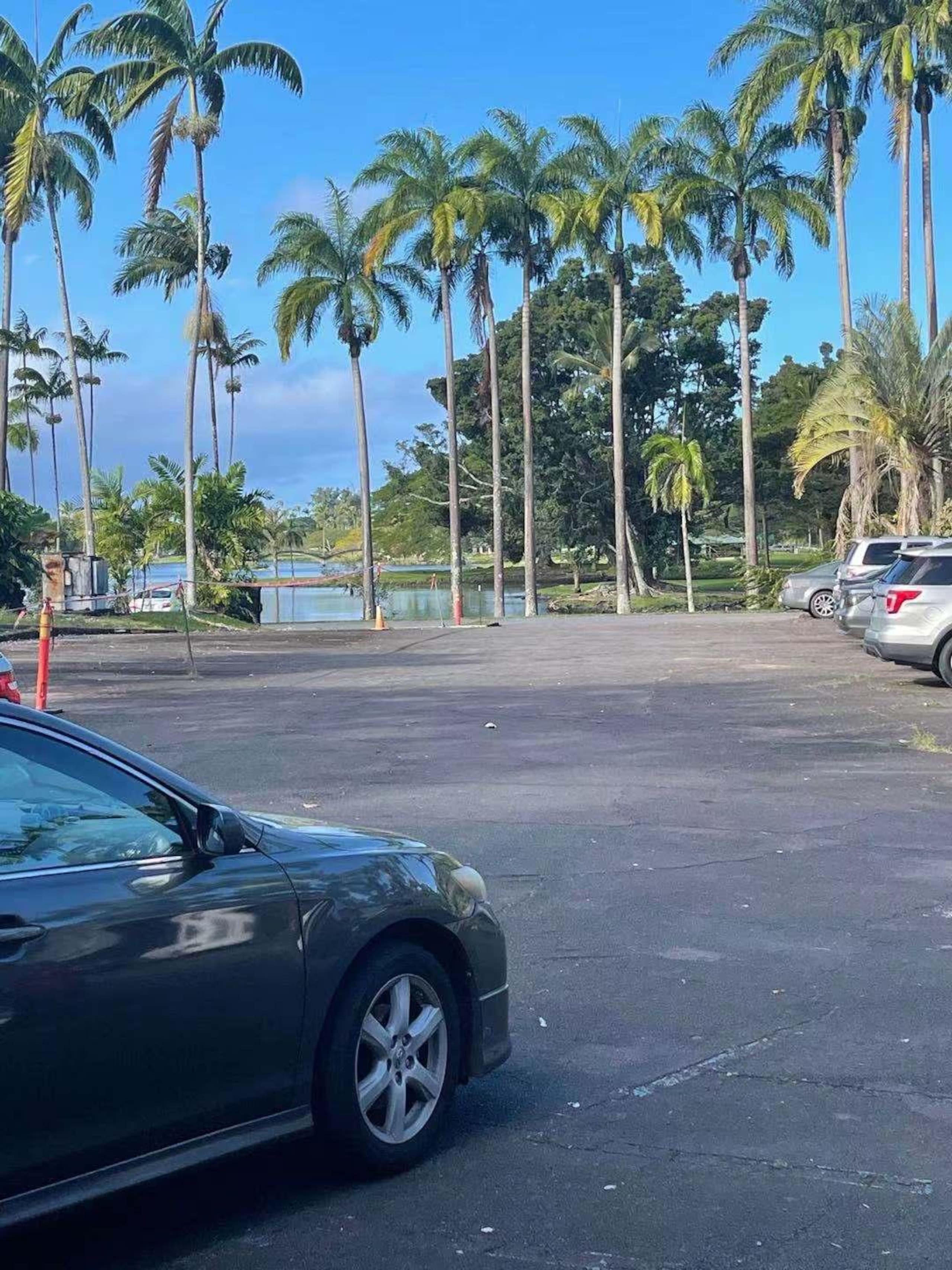 Condo in Hilo · ★4.56 · 1 bedroom · 1 bed · 1 shared bath - Image 24