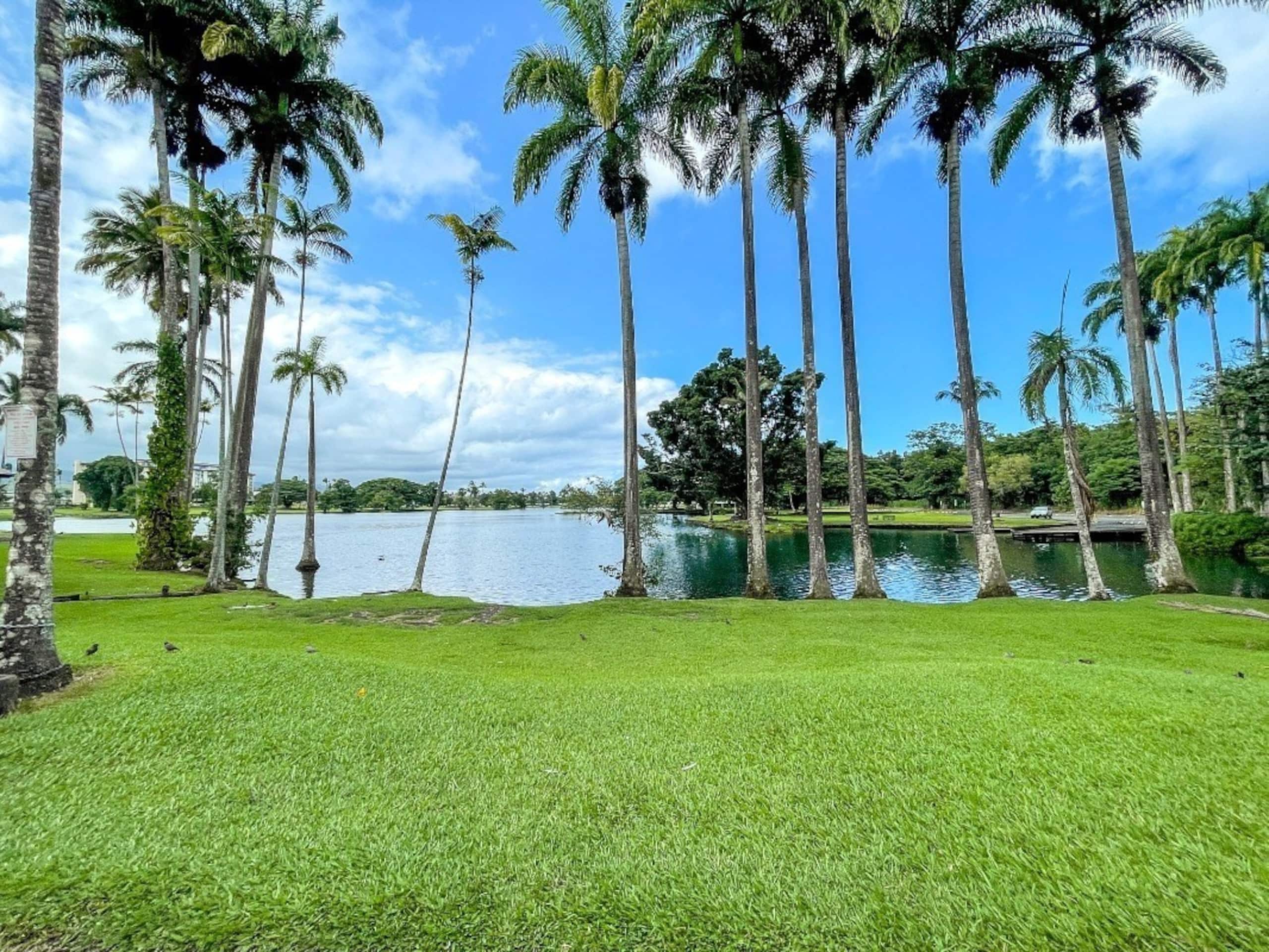 Condo in Hilo · ★4.56 · 1 bedroom · 1 bed · 1 shared bath - Image 26