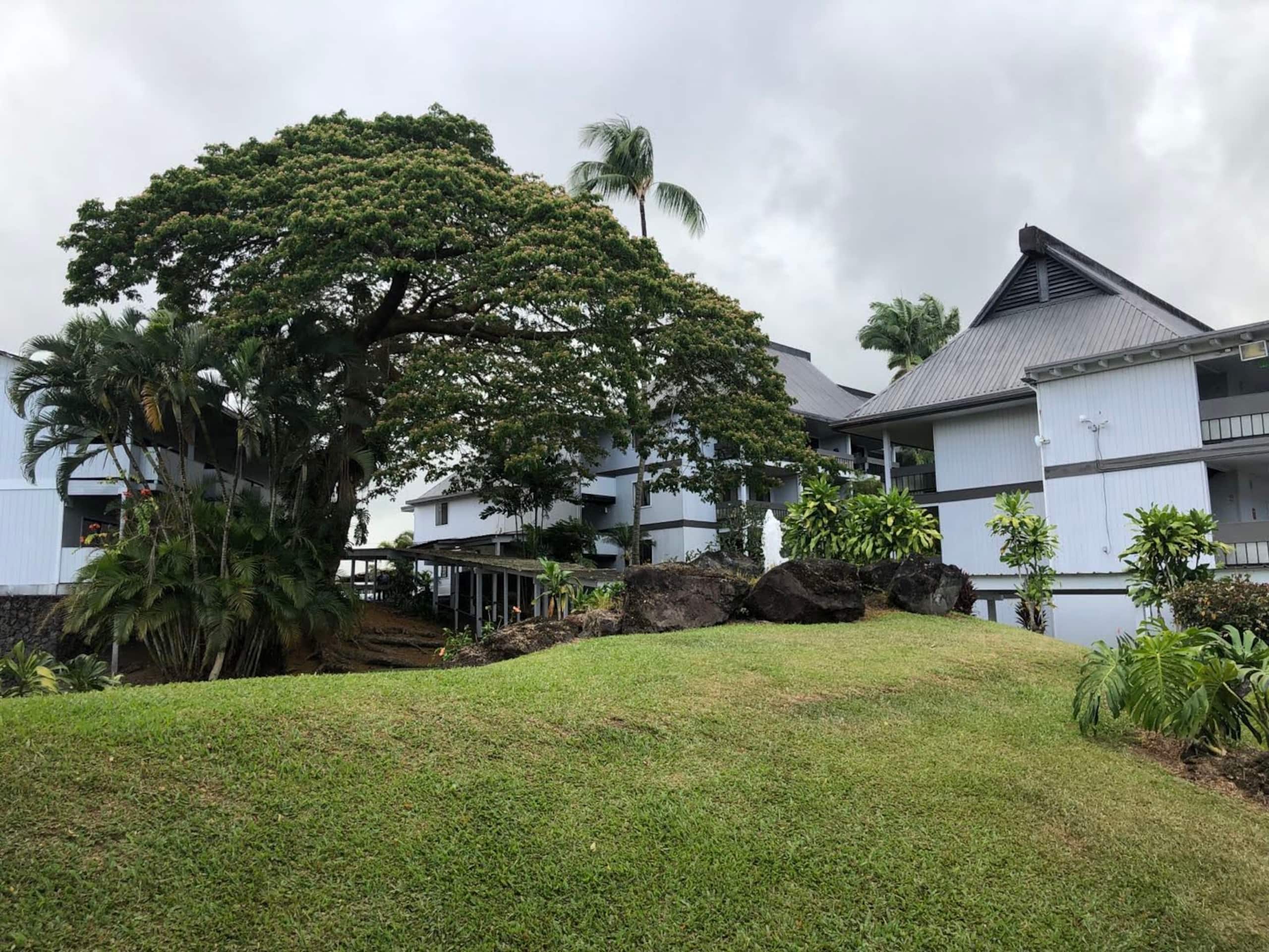 Condo in Hilo · ★4.56 · 1 bedroom · 1 bed · 1 shared bath - Image 19