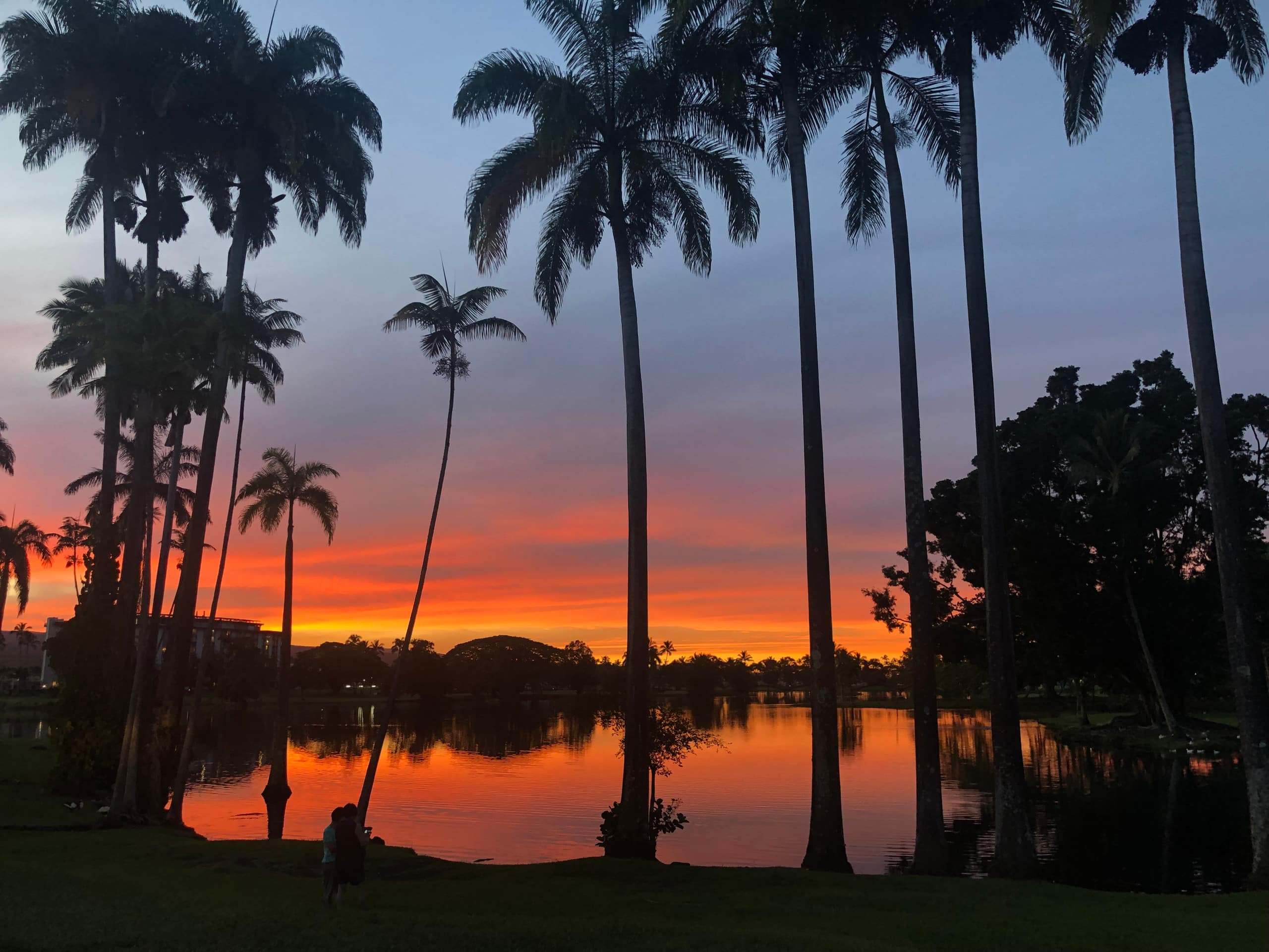 Condo in Hilo · ★4.56 · 1 bedroom · 1 bed · 1 shared bath - Image 20