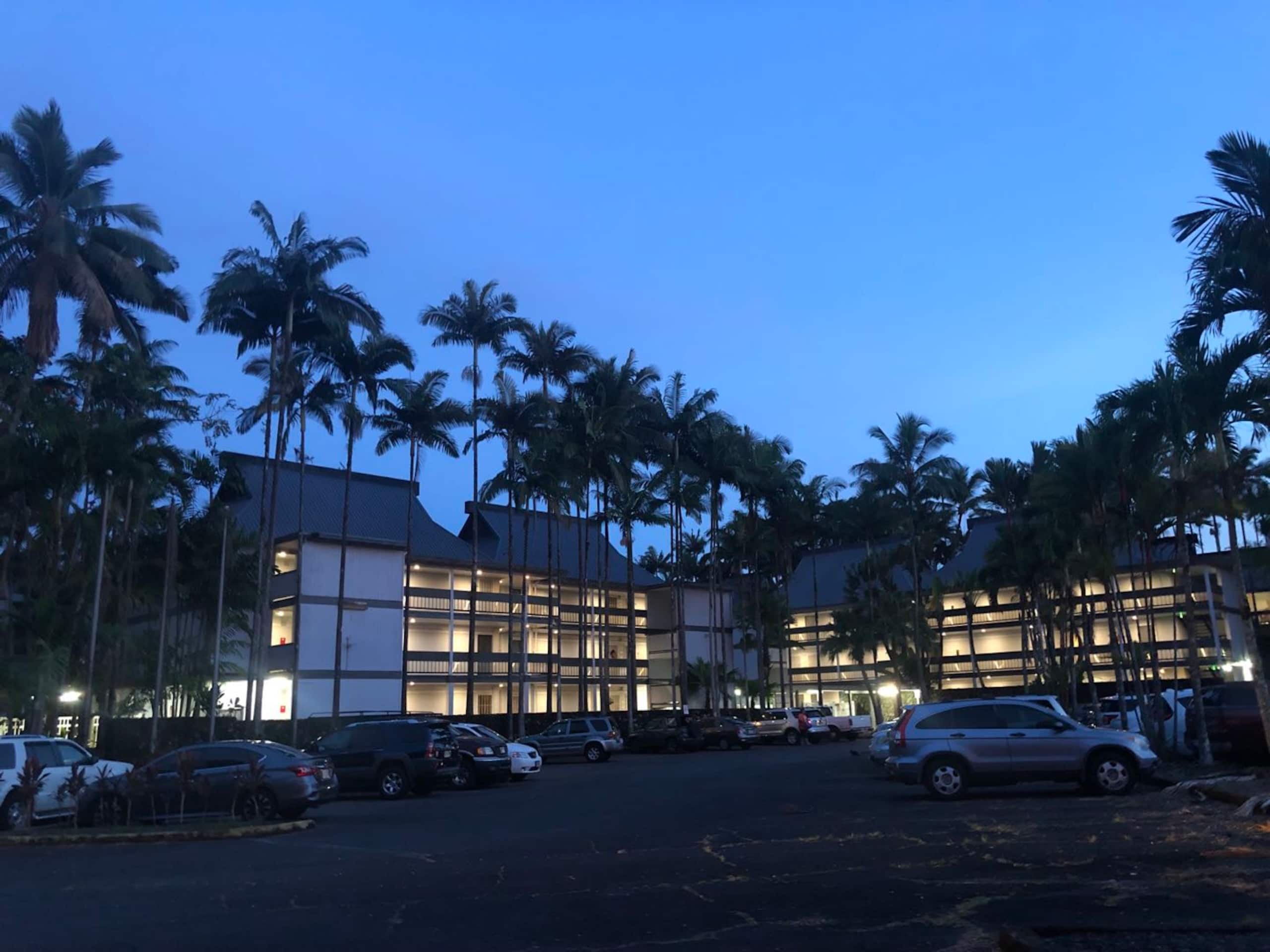 Condo in Hilo · ★4.56 · 1 bedroom · 1 bed · 1 shared bath - Image 21