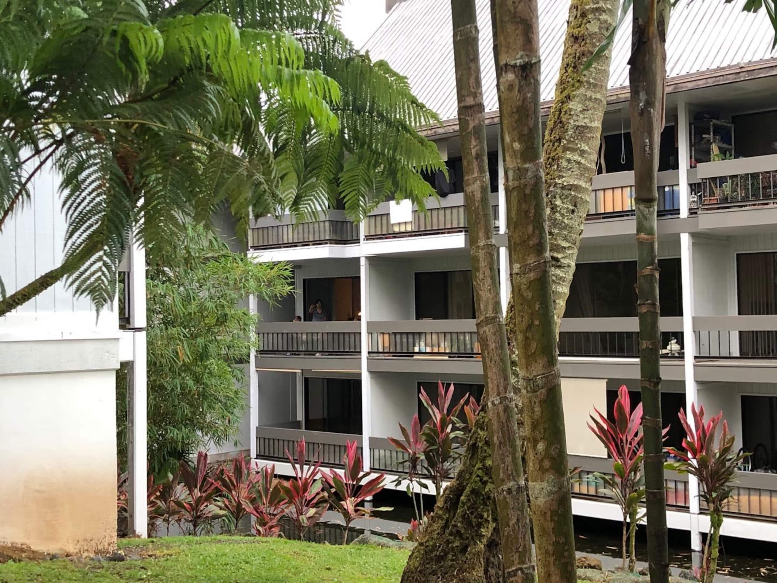 Condo in Hilo · ★4.56 · 1 bedroom · 1 bed · 1 shared bath - Image 22