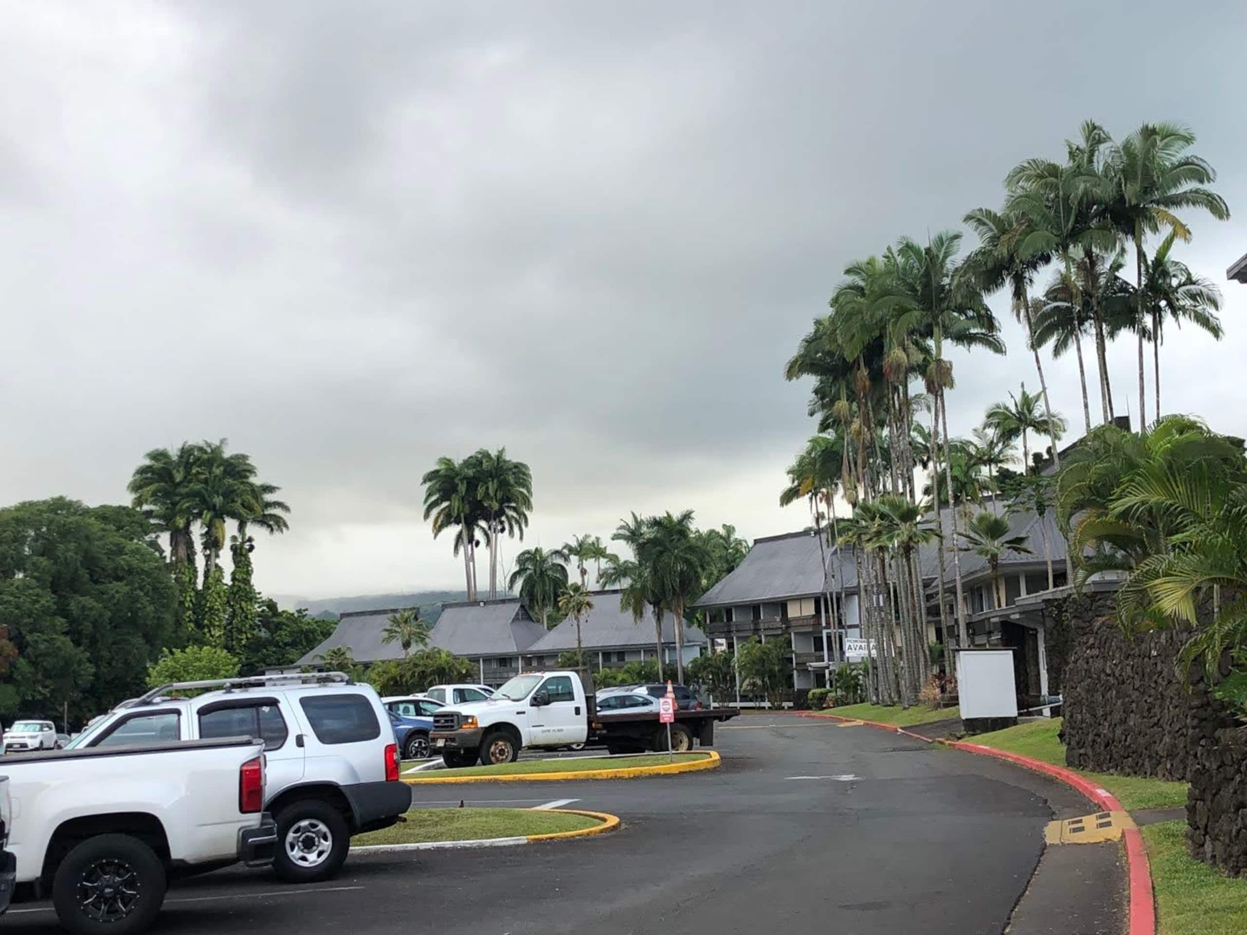 Condo in Hilo · ★4.56 · 1 bedroom · 1 bed · 1 shared bath - Image 29
