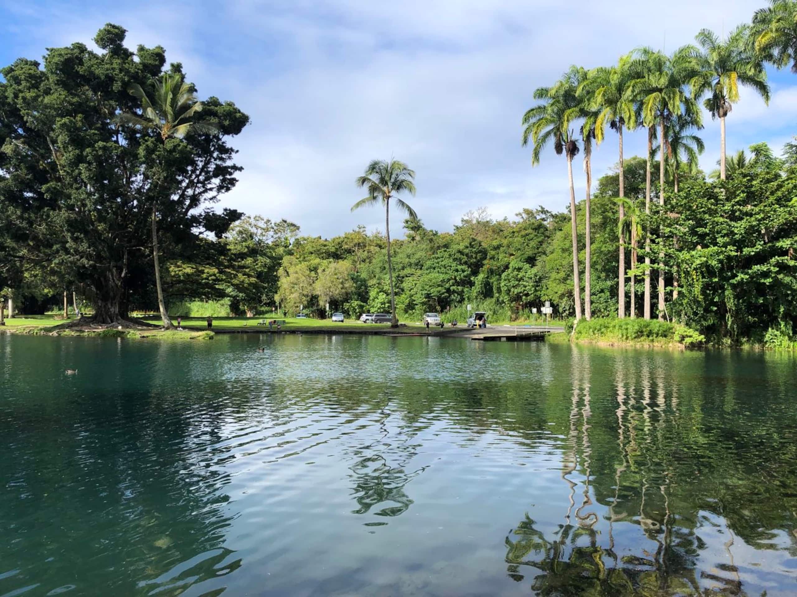Condo in Hilo · ★4.56 · 1 bedroom · 1 bed · 1 shared bath - Image 17