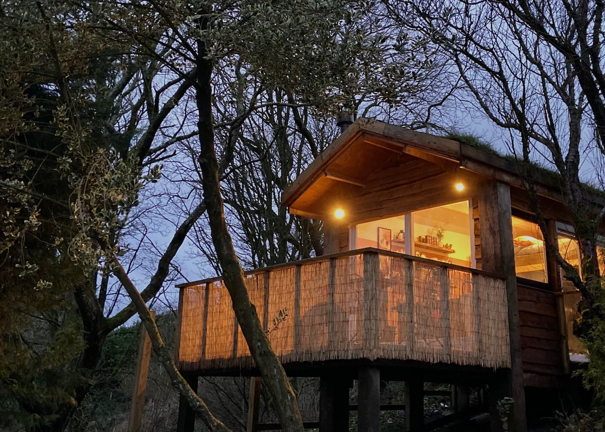 A tiny house is set among trees, featuring a wooden balcony illuminated by warm lights. The living area is visible through large windows, showcasing a cozy interior design. The grass roof adds to the natural aesthetic of the tranquil surroundings.
