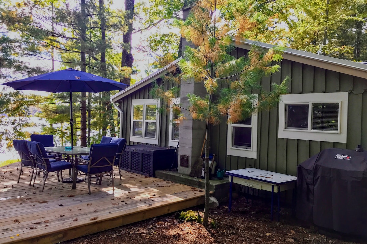 A wooden deck is visible, furnished with a glass-top dining table surrounded by six blue chairs. A large umbrella provides shade next to the cabin, which has green siding and multiple windows. A barbecue grill is seen nearby, along with trees in the background.