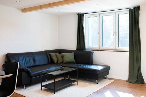 Modern apartment in Säntisecho