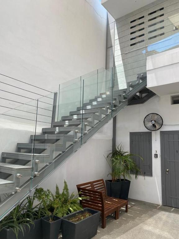 A modern staircase featuring a glass railing ascends toward light from a skylight. Potted plants are placed beside a wooden bench, adding a touch of greenery to the contemporary space. The entrance doors are visible in the background, complemented by a wall-mounted fan.