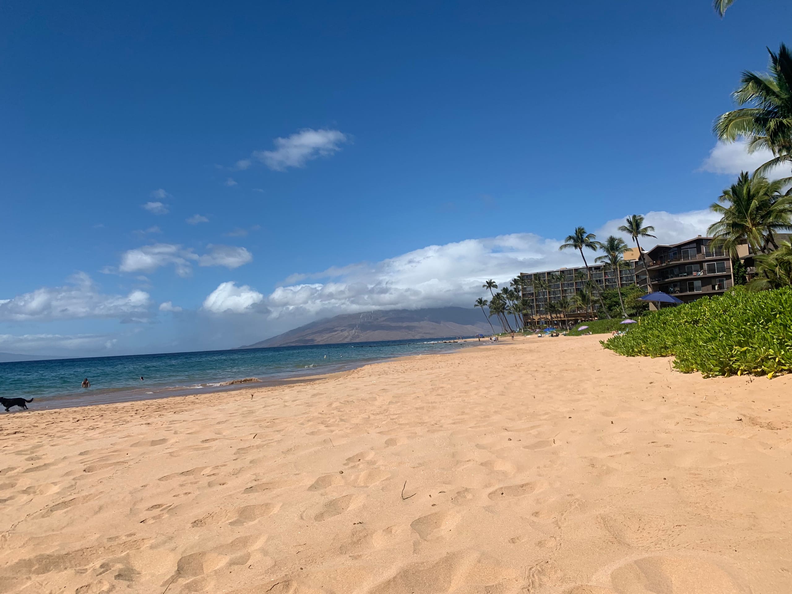 Home in Kihei · ★4.72 · 3 bedrooms · 5 beds · 2 baths - Image 13