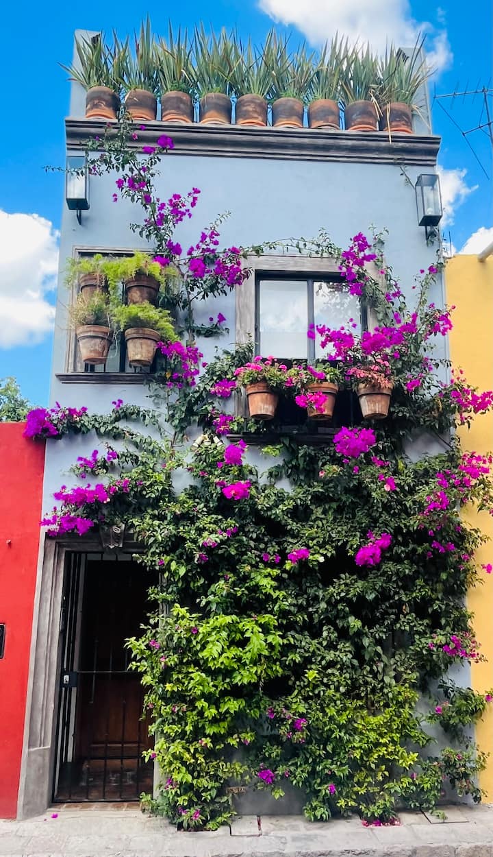 Casa Nico - a boutique home in downtown San Miguel - Houses for