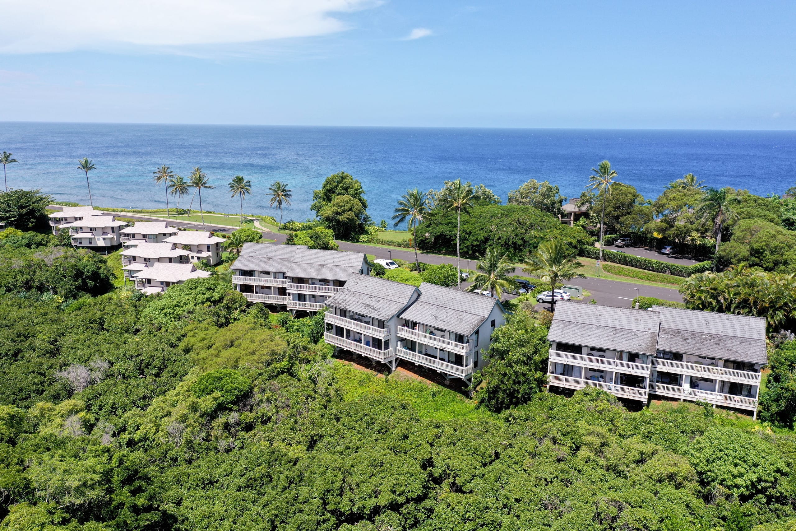 Condo in Princeville · ★4.95 · 1 bedroom · 1 bed · 1 bath - Image 30