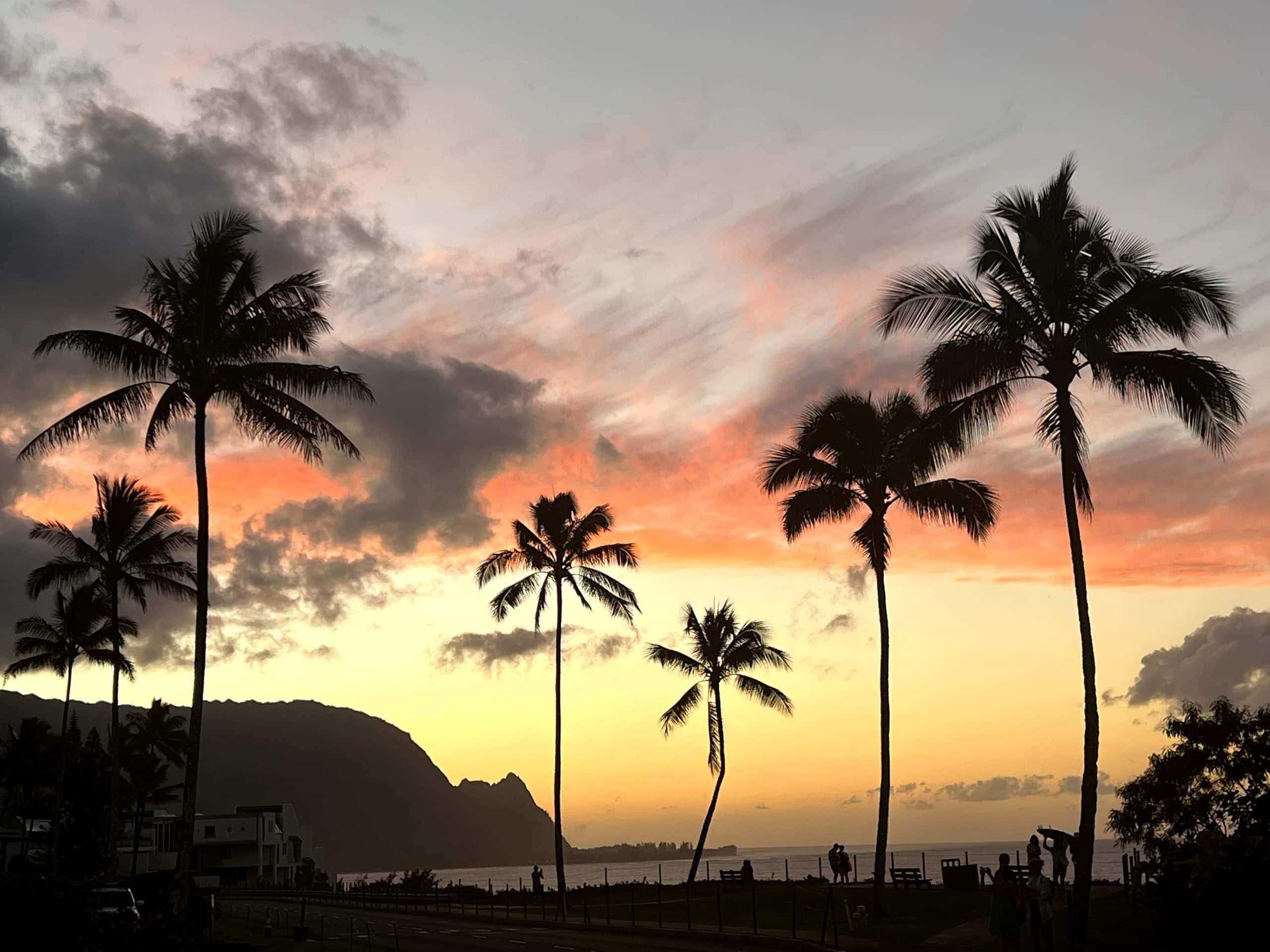 Condo in Princeville · ★4.95 · 1 bedroom · 1 bed · 1 bath - Image 29