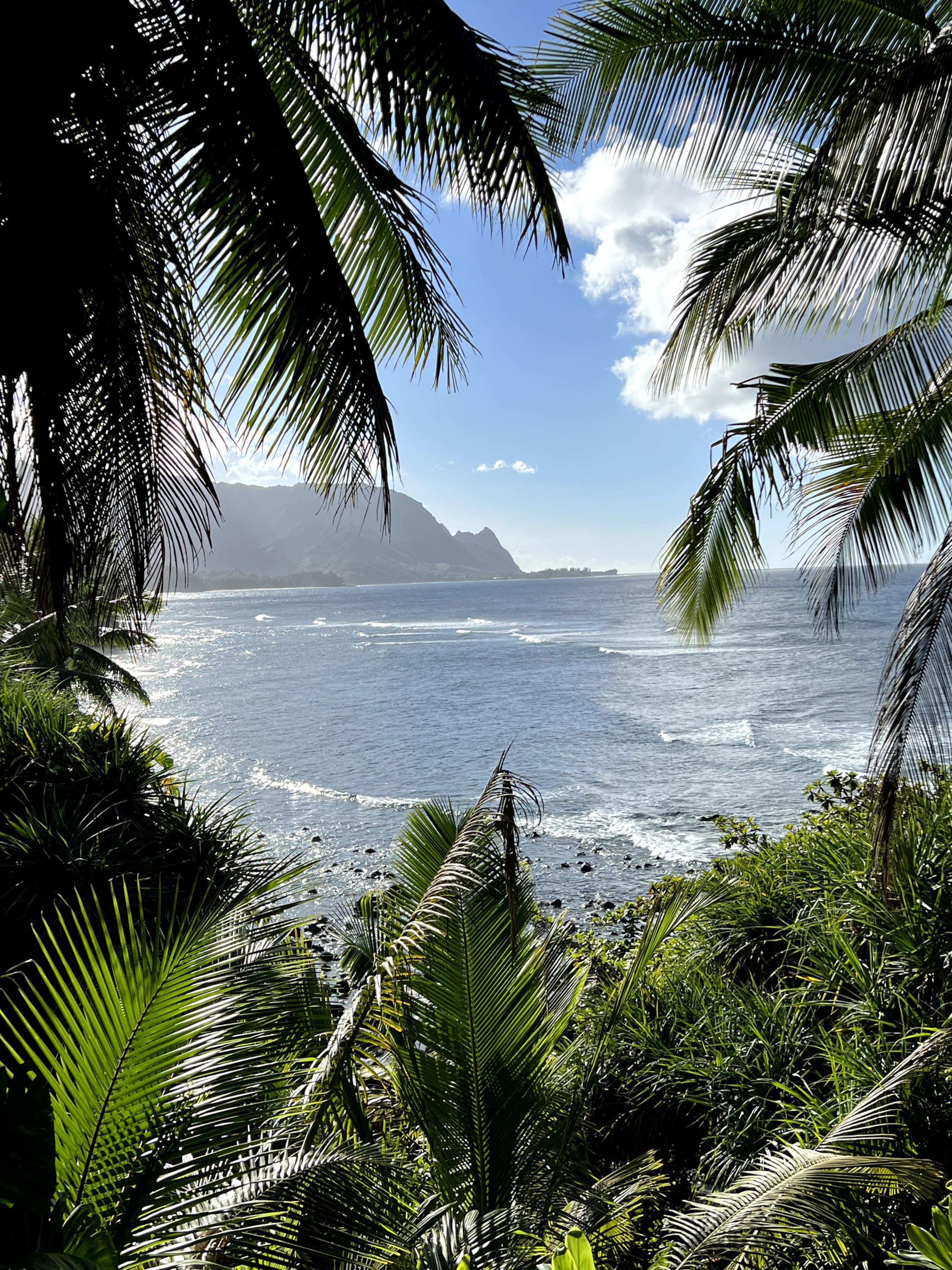 Condo in Princeville · ★4.95 · 1 bedroom · 1 bed · 1 bath - Image 35