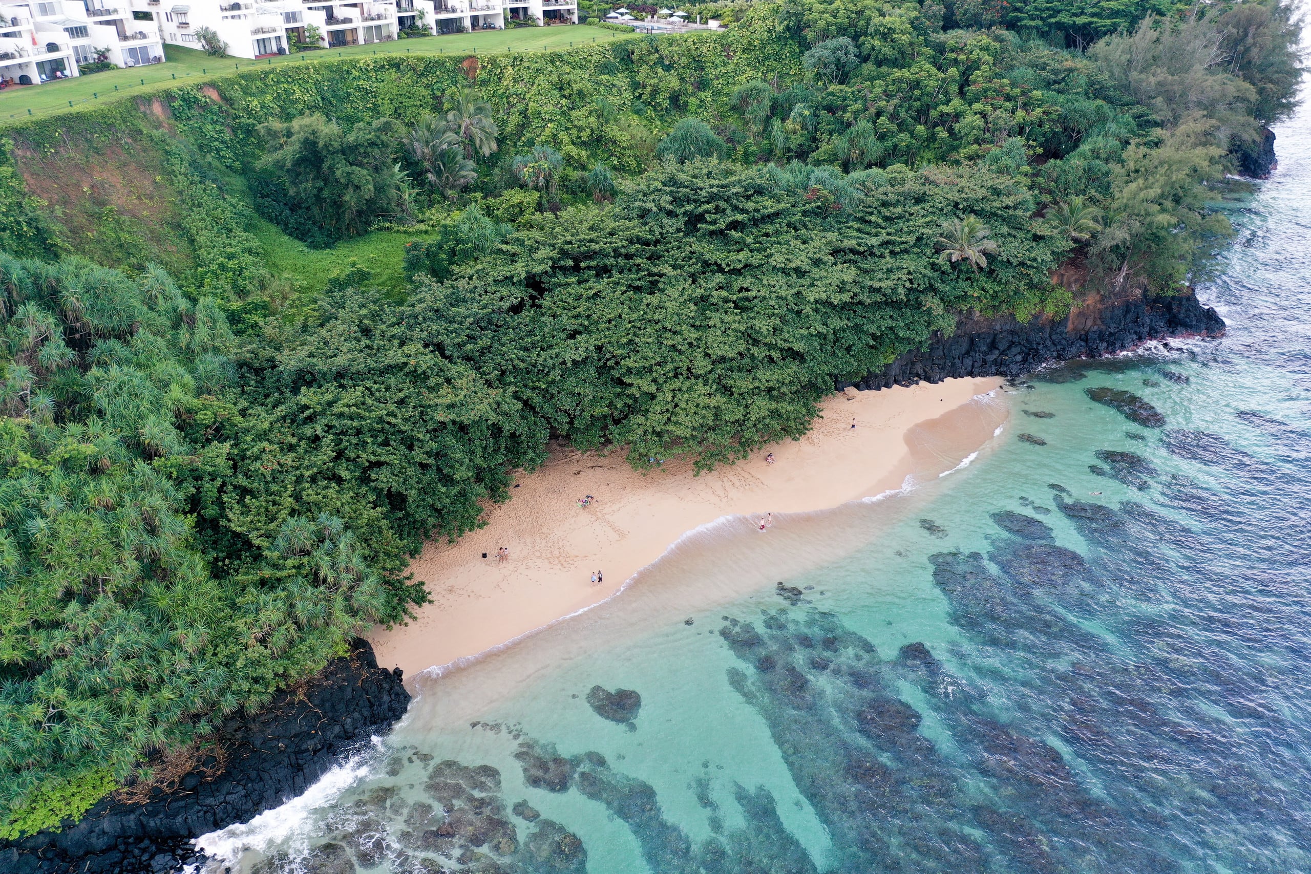 Condo in Princeville · ★4.95 · 1 bedroom · 1 bed · 1 bath - Image 31