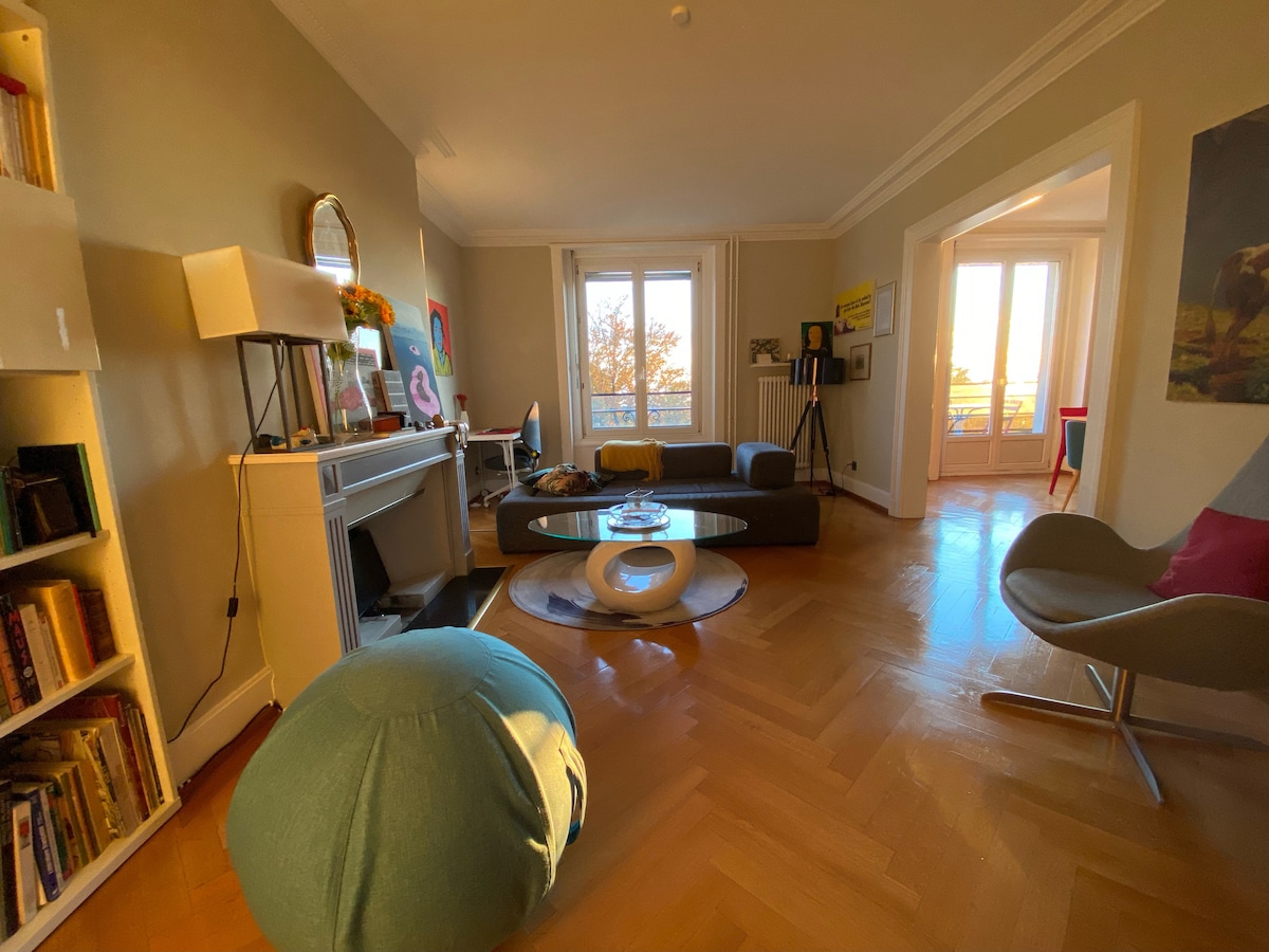Top performing Airbnb: Central & Luxury: 5BR Artistic Apartment in Lausanne