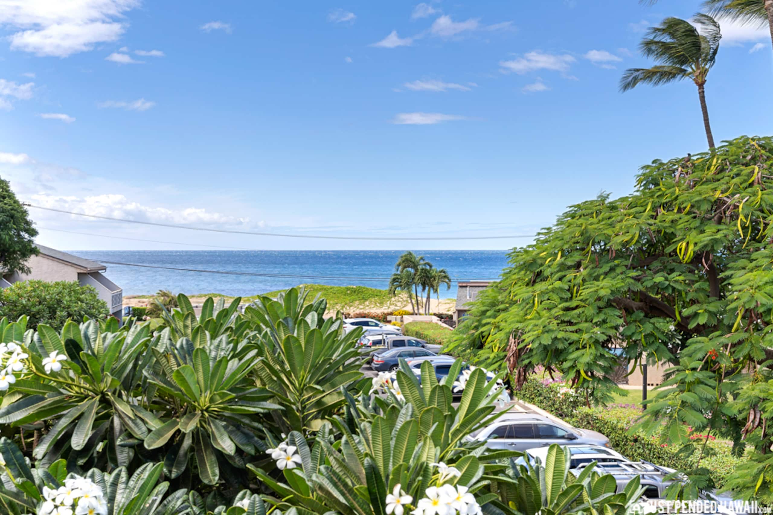 Condo in Kihei · ★4.73 · 2 bedrooms · 3 beds · 1 bath - Image 21