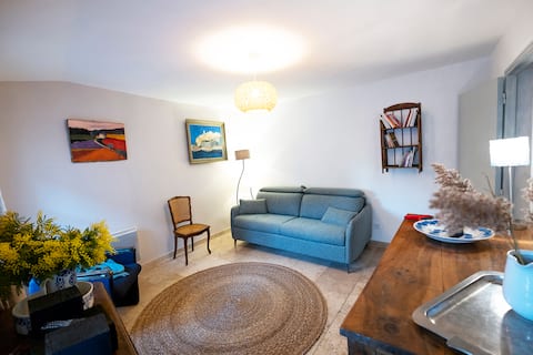 Top performing Airbnb: Provencal charm in the heart of St Remy in Saint Rémy De Provence