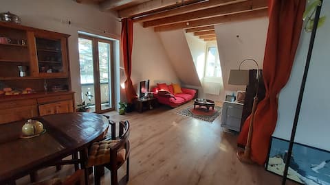 Charmant appartement cooconing centre village