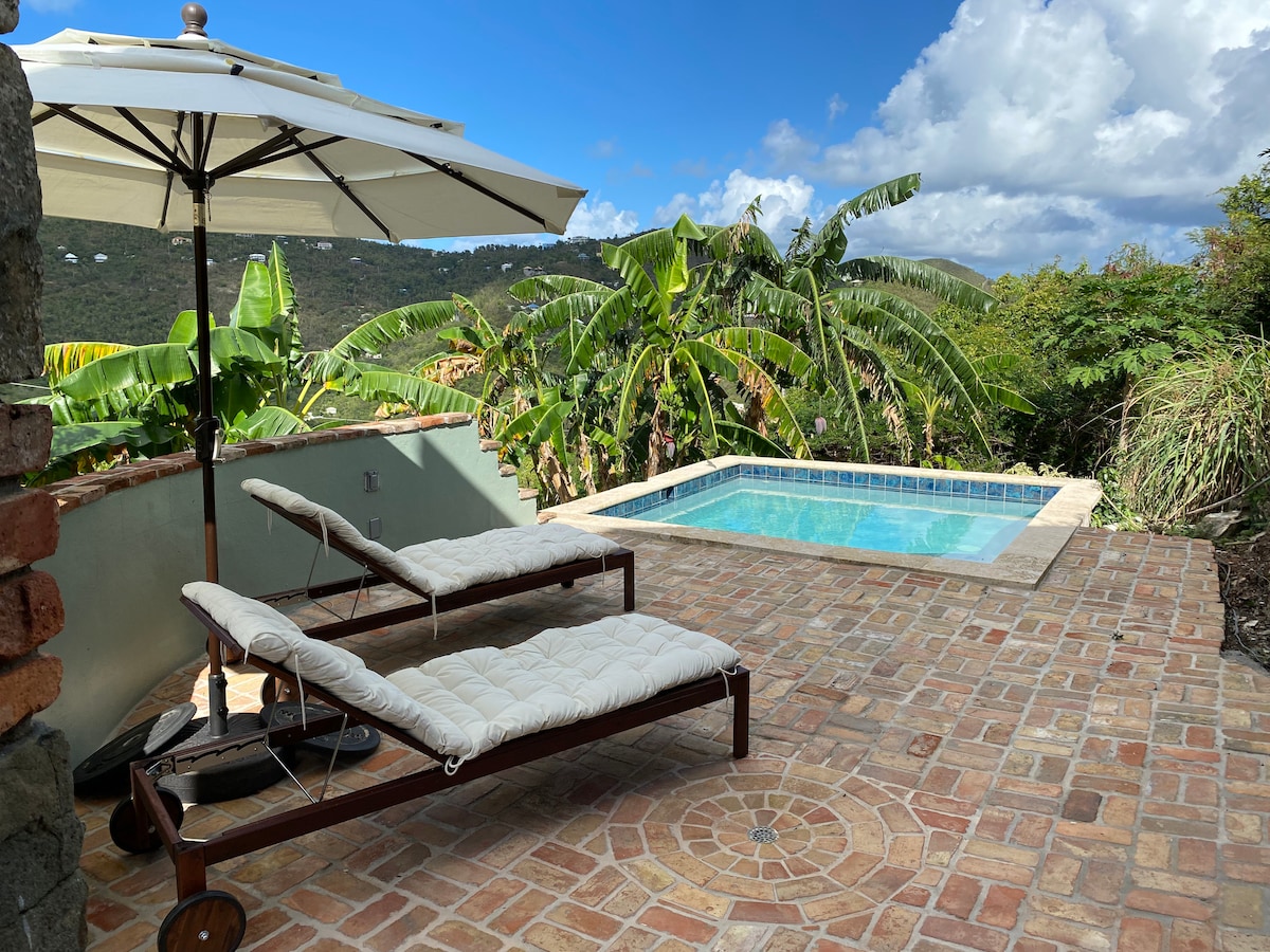 An outdoor patio features tiled stones surrounding a small salt-system plunge pool. Two lounge chairs with cushions are positioned nearby, while lush green banana plants fill the background. A beige umbrella provides shade, and the sky is bright with scattered clouds.