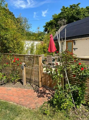A sunny outdoor space features a wooden fence adorned with climbing roses. A patio area is equipped with a red umbrella and matching chairs, surrounded by lush greenery. Solar panels can be seen on the building's roof, contributing to an eco-friendly environment.