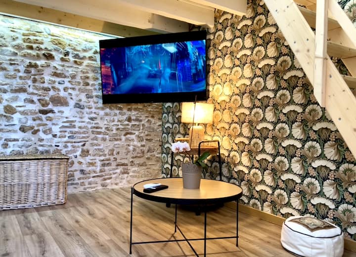 "Cosy Cocooning & Spa " Logement Classé 3 éToiles* - Lezoux