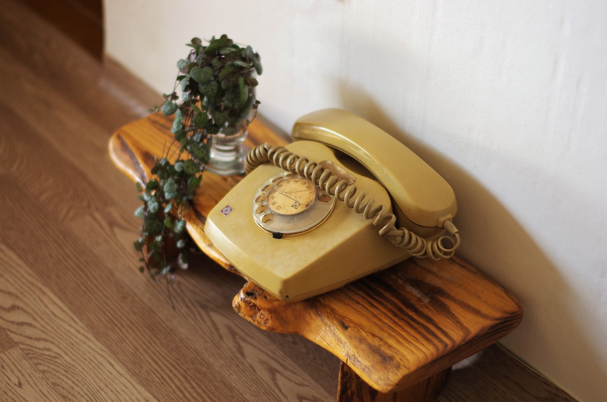 An antique yellow rotary phone is positioned on a natural wood table. A small potted plant with green leaves is also present, adding a touch of life to the arrangement. The backdrop features a textured wall in soft neutral tones.