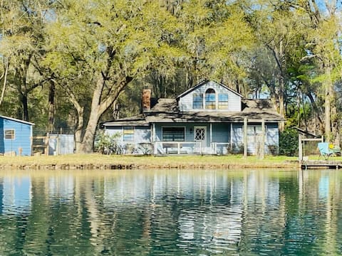 The Blue House