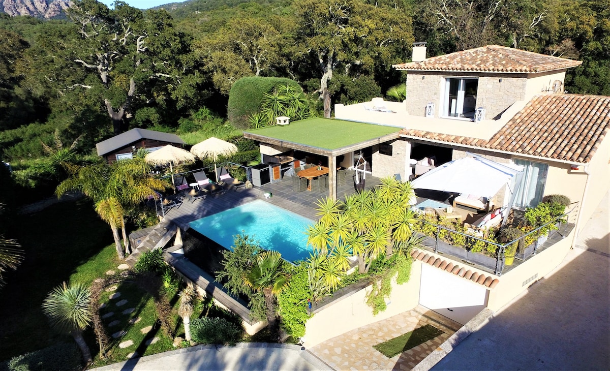 An aerial view showcases the villa's outdoor spaces, featuring a heated infinity pool surrounded by tropical plants, lounge chairs, and shaded seating areas. The landscaped garden complements the modern, tranquil ambiance of the property, enhancing the connection with the natural surroundings.