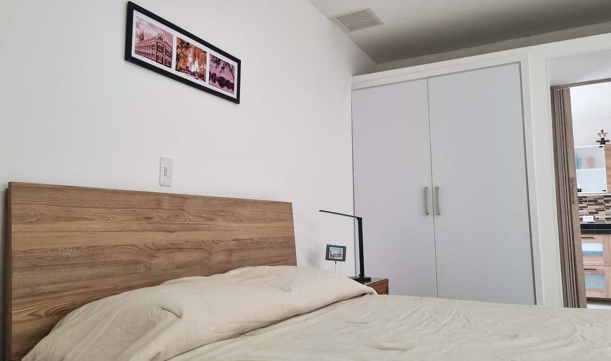 A spacious bed with a light-colored blanket is positioned against a wooden headboard. A bedside lamp and framed artwork hang above the bed. The room features a large closet and an open doorway leading to another area of the apartment.