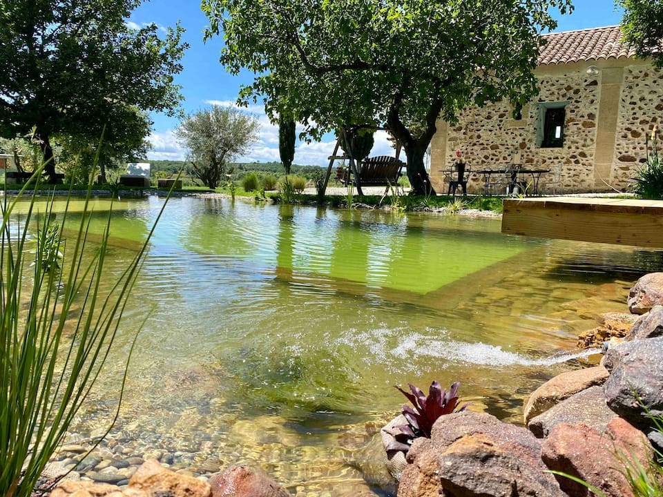 A natural pond is surrounded by lush greenery and stone borders, reflecting the nearby structure's rustic facade. Sunlight illuminates the gentle ripples on the water's surface, while trees provide shade along the edge, enhancing the serene rural ambiance.