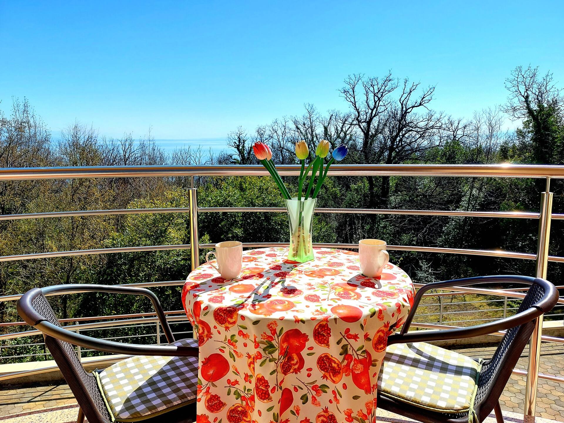 Fast WIFI, Smart TV, view, long bed, priv. parking