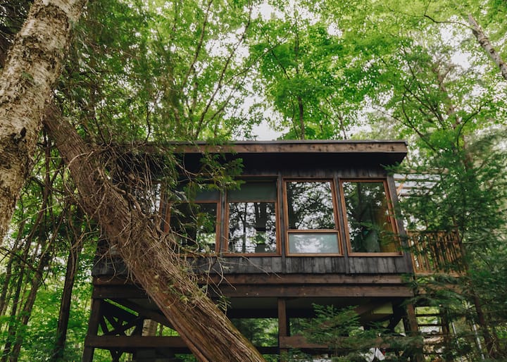 Journey's End Contemporary Lakefront Treehouse Treehouses for Rent