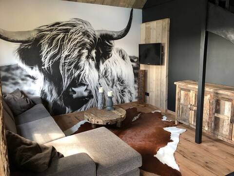 Atmospheric zen house in idyllic Bilderdam