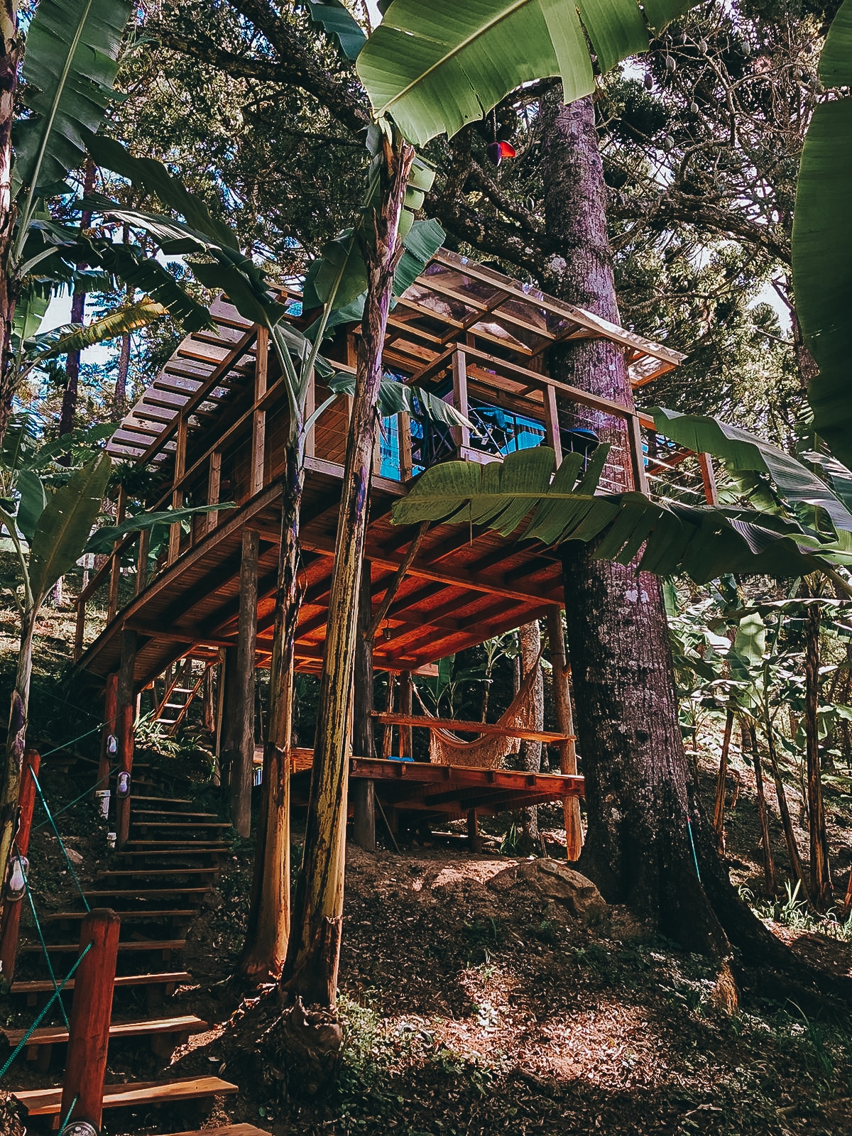 A treehouse structure is elevated among lush greenery, featuring a wooden deck with a hammock for relaxation. Steps lead up to the entrance, surrounded by tall banana plants and trees, creating a natural and serene environment.