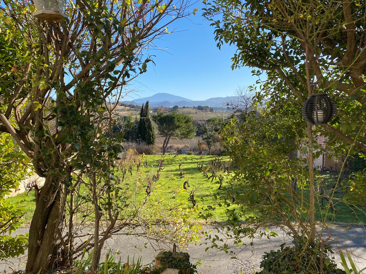A serene view of rolling vineyards and distant mountains is framed by lush greenery. The foreground features a well-maintained grassy area, while the backdrop highlights the clear blue sky and distant hills, creating a peaceful outdoor setting.