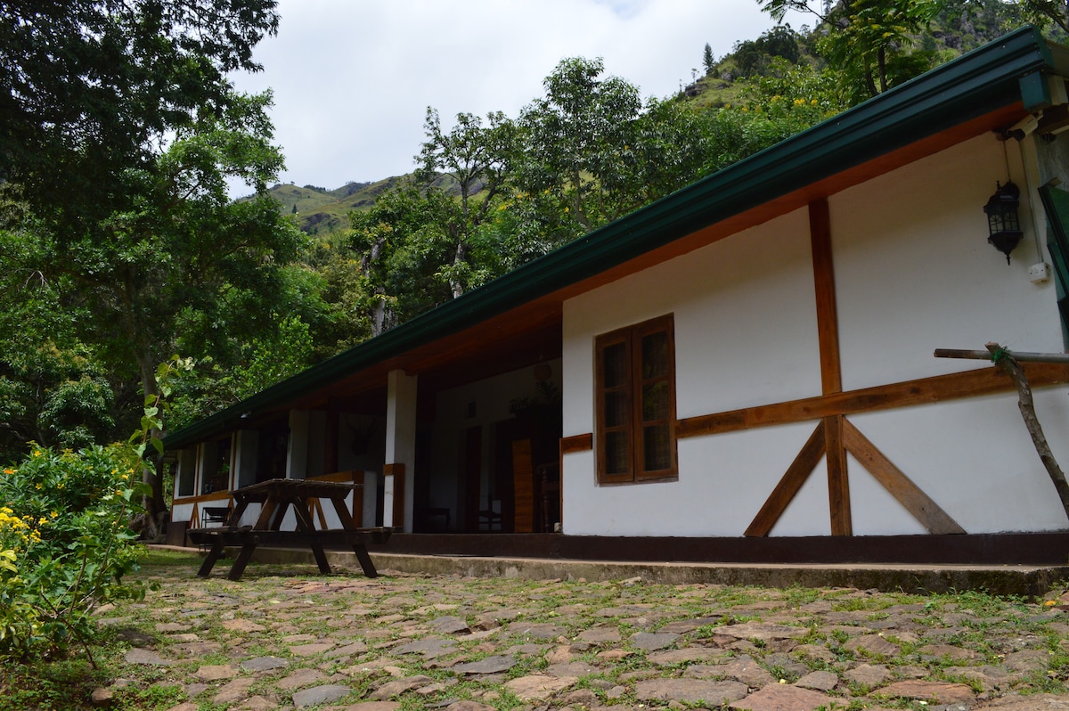 A portion of the lodge is visible, showcasing a wooden structure with a sloped roof, surrounded by lush greenery. A stone pathway leads to the entrance. Outdoor seating is provided at a wooden table near the lodge, enhancing the integration with nature.