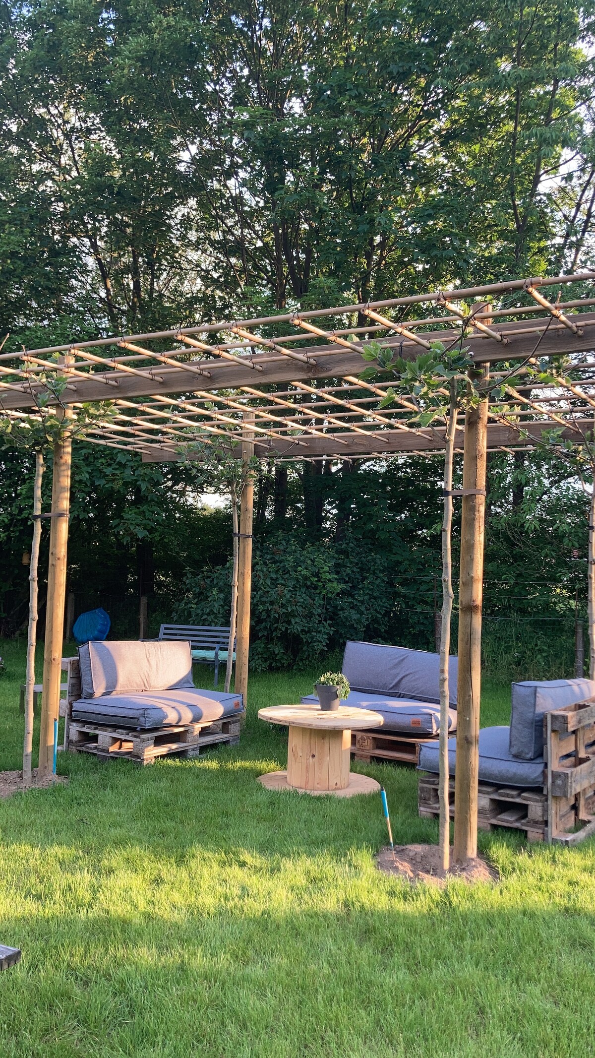 A cozy outdoor seating area is created with pallet furniture under a wooden pergola. Comfy gray cushions are positioned around a round wooden table, surrounded by lush green grass and tall trees, providing a natural and refreshing atmosphere for relaxation.