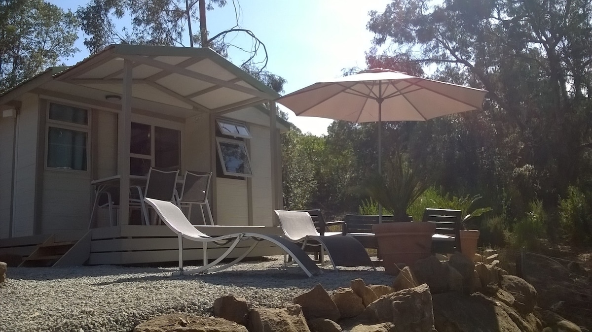 The wooden chalet features a well-furnished terrace with loungers, an umbrella, and dining furniture. Surrounding greenery enhances the natural setting, with a gravel area leading up to the chalet's entrance, which is decorated with large windows and a covered porch.