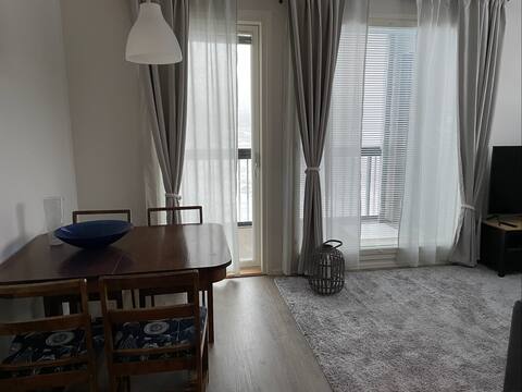 New,  air-conditioned, centrally located apartment