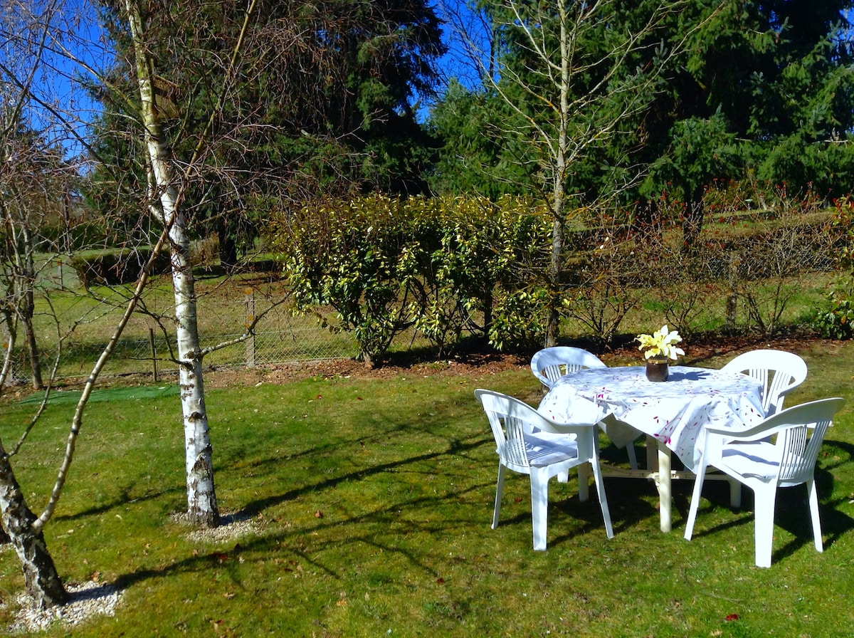 A grassy outdoor area is shown, featuring a round table covered with a floral tablecloth. Four white plastic chairs surround the table, positioned beneath the shade of trees. A neatly manicured hedge lines the background, complemented by patches of sunlight filtering through.