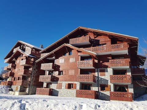 Les Carroz - Very nice apartment 6-8 people