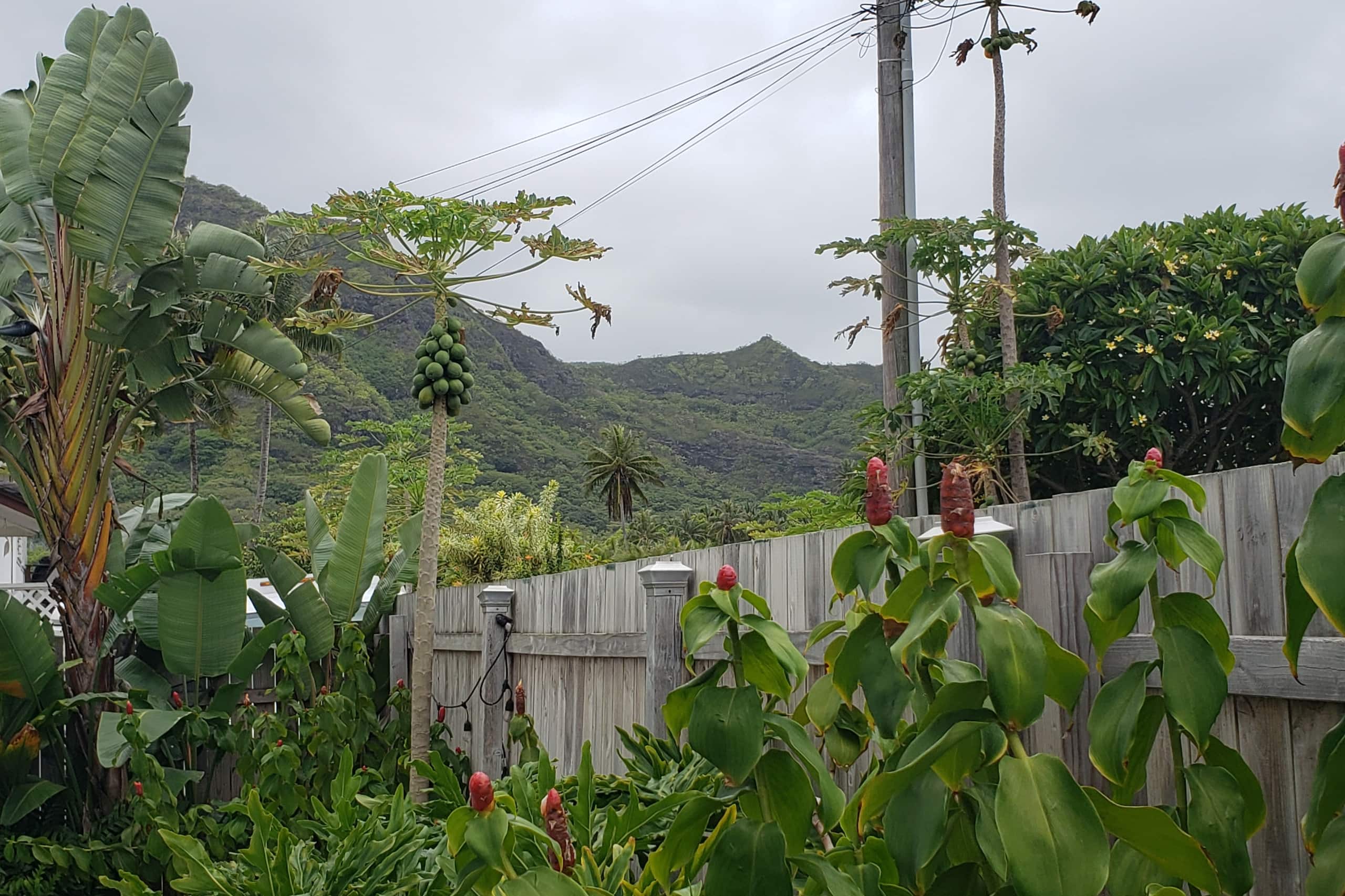 Home in Hauula · ★5.0 · 3 bedrooms · 5 beds · 2 private baths - Image 7