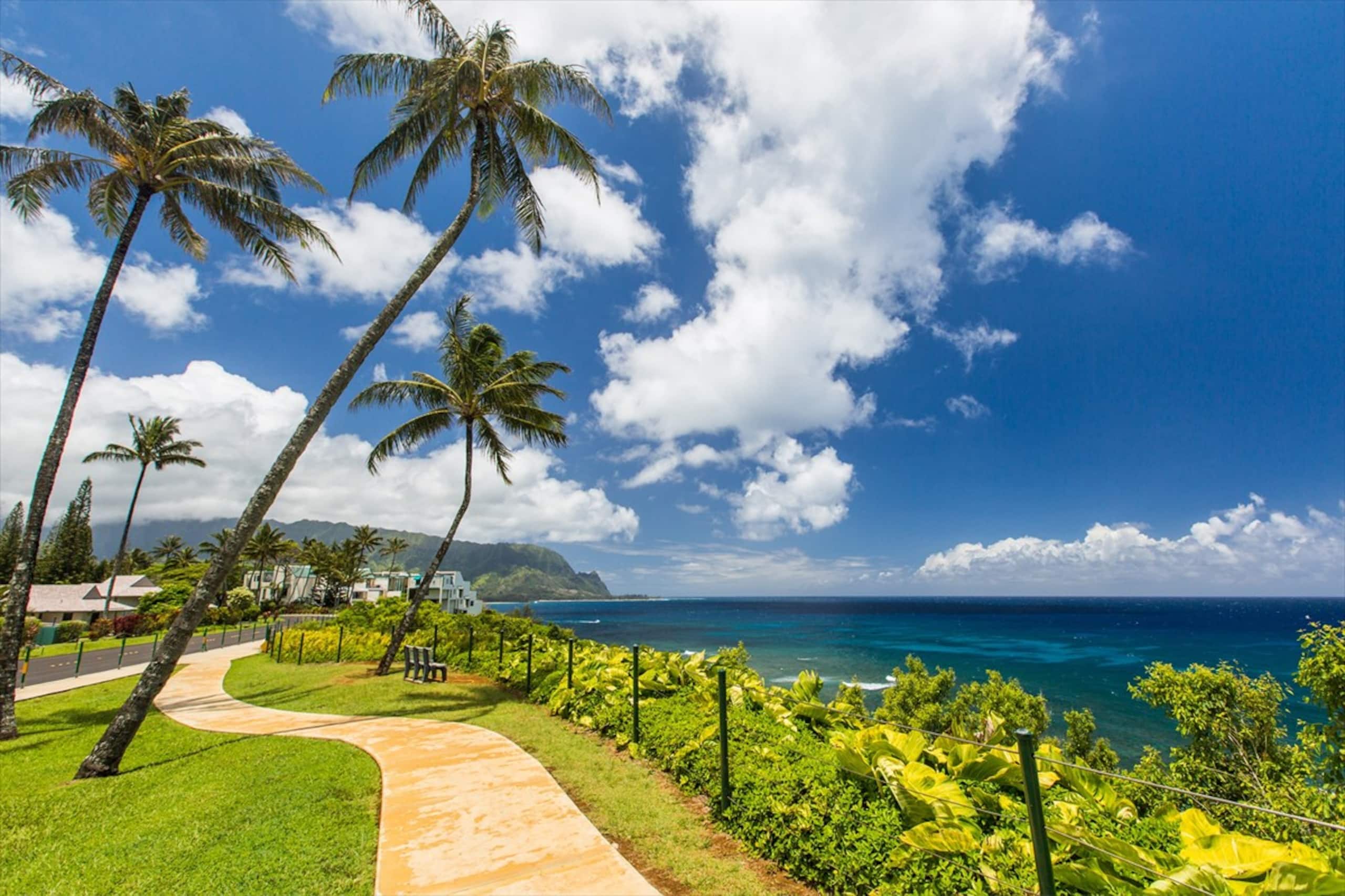 Condo in Princeville · ★4.97 · Studio · 1 bed · 1 bath - Image 7